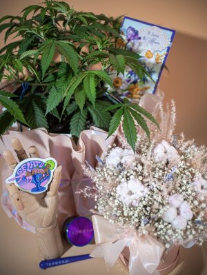 IMG_0700.jpeg IMG_0700.jpeg