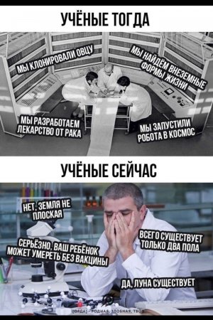 1710409434143964417.jpg 1710409434143964417.jpg