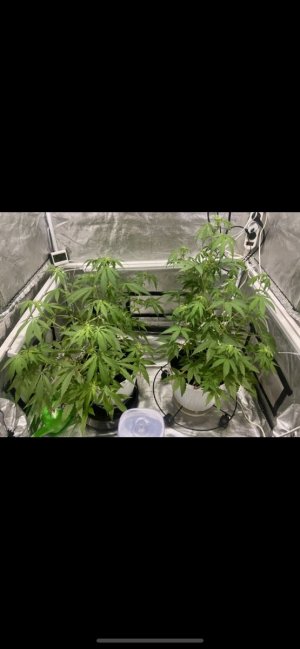 37 (8.03.24).jpg 37 (8.03.24).jpg