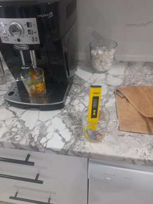 20240324_180446 (1).jpg