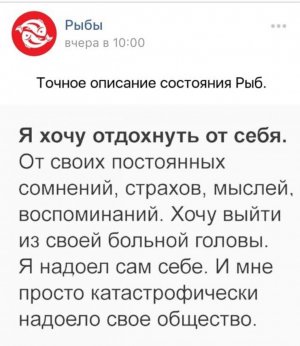 IMG_0798.jpeg IMG_0798.jpeg