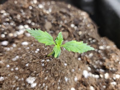 1000017171.jpg 1000017171.jpg