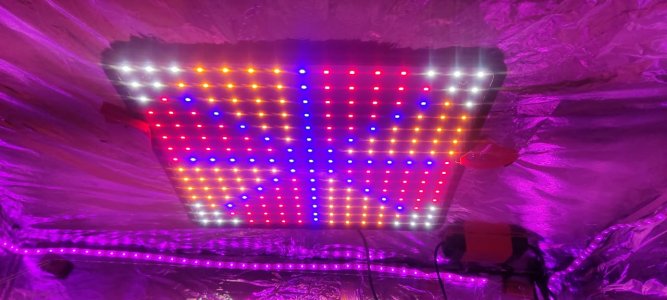 WhatsApp Image 2024-04-06 at 11.26.10 (3).jpeg