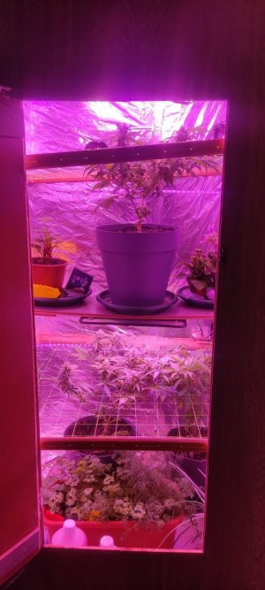 WhatsApp Image 2024-04-07 at 19.51.11.jpeg