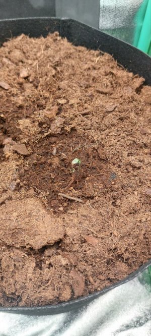 2024.04.09 - 1 день.jpg