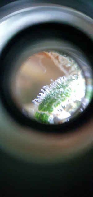 20240410_130953 — копия.jpg