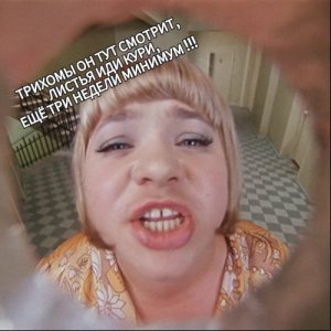 1712743324335.jpg 1712743324335.jpg