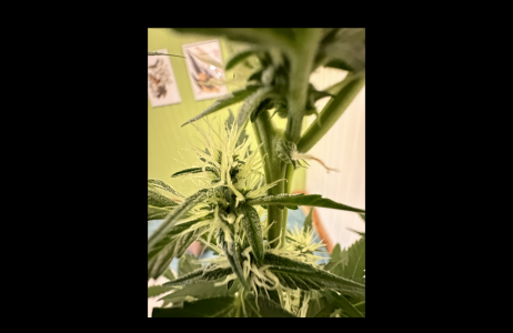 Снимок экрана 2024-04-11 в 07.48.15.png