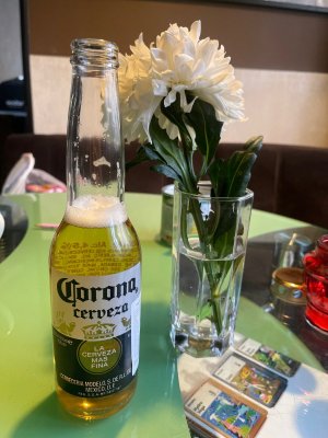 camphoto_869693583.jpeg camphoto_869693583.jpeg