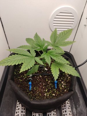 IMG_20240414_075448.jpg IMG_20240414_075448.jpg