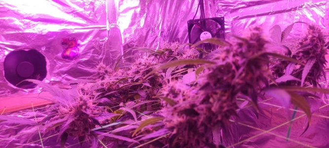 WhatsApp Image 2024-04-20 at 10.05.19.jpeg