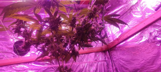 WhatsApp Image 2024-04-20 at 10.05.18 (4).jpeg