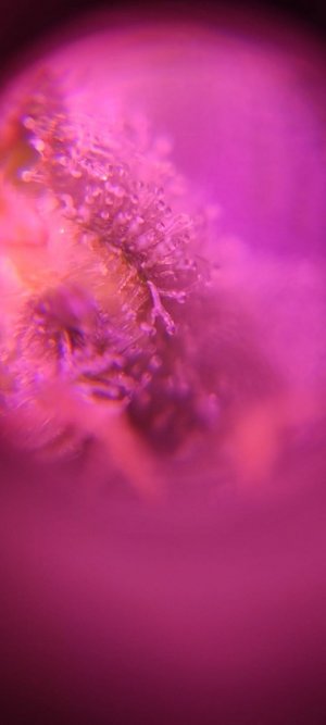 WhatsApp Image 2024-04-20 at 10.13.06.jpeg