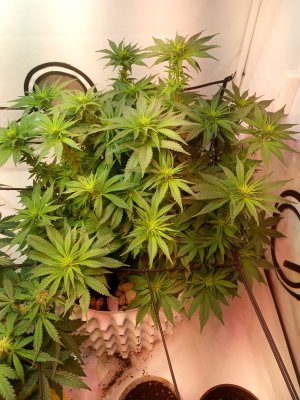 2024-04-27 115947.jpg