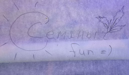 WhatsApp Image 2024-05-18 at 13.06.03.jpeg