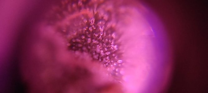 WhatsApp Image 2024-05-18 at 13.34.30.jpeg