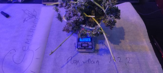 WhatsApp Image 2024-05-18 at 13.06.04.jpeg