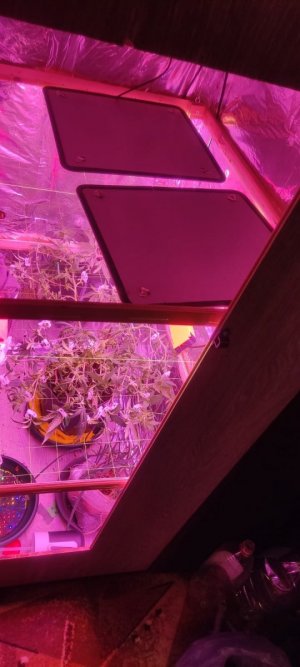 WhatsApp Image 2024-05-18 at 15.57.38.jpeg