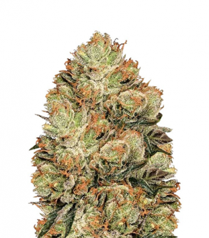 1716213430997.png 1716213430997.png