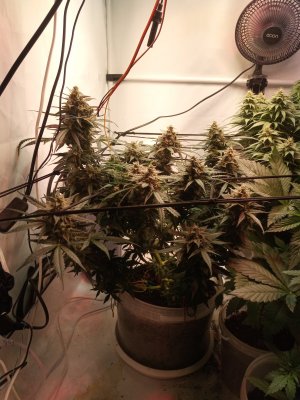 2024-05-24 133846.jpg