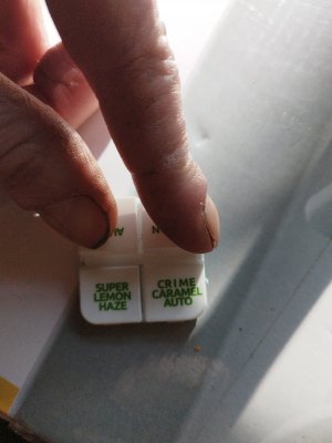 IMG_2024_05_28_07_20_26_7951383278544437043330.jpg IMG_2024_05_28_07_20_26_7951383278544437043330.jpg