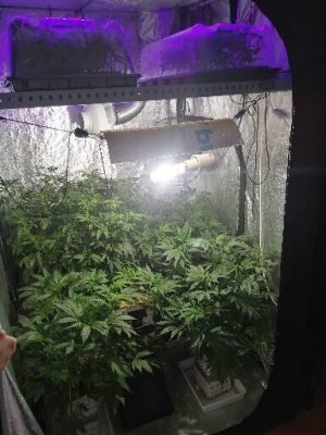 1224122.jpg 1224122.jpg