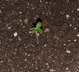 20220305_083516.jpg 20220305_083516.jpg