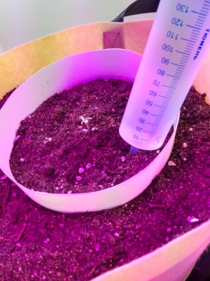 20220305_083538.jpg 20220305_083538.jpg