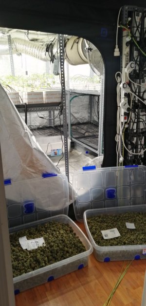 IMG_20220305_190917_782.jpg IMG_20220305_190917_782.jpg