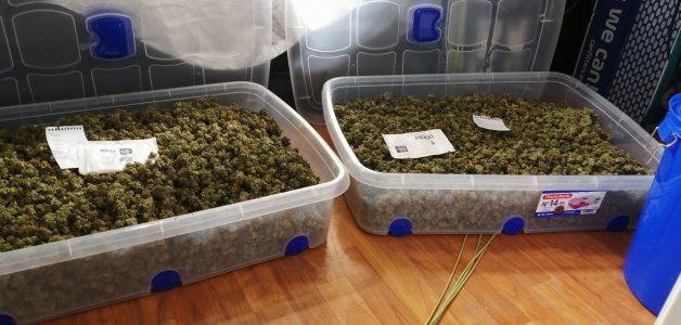 IMG_20220305_190919_105.jpg IMG_20220305_190919_105.jpg