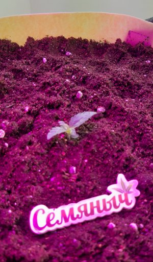 20220309_100858.jpg 20220309_100858.jpg