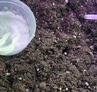 20220309_104537.jpg 20220309_104537.jpg