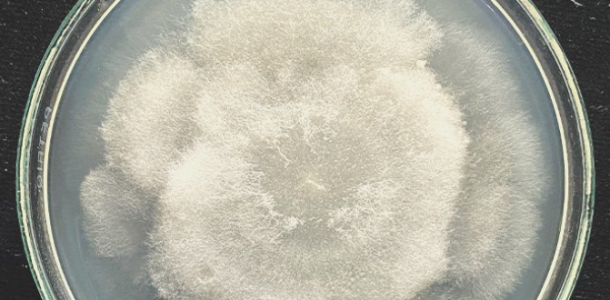 1646845347061.png 1646845347061.png