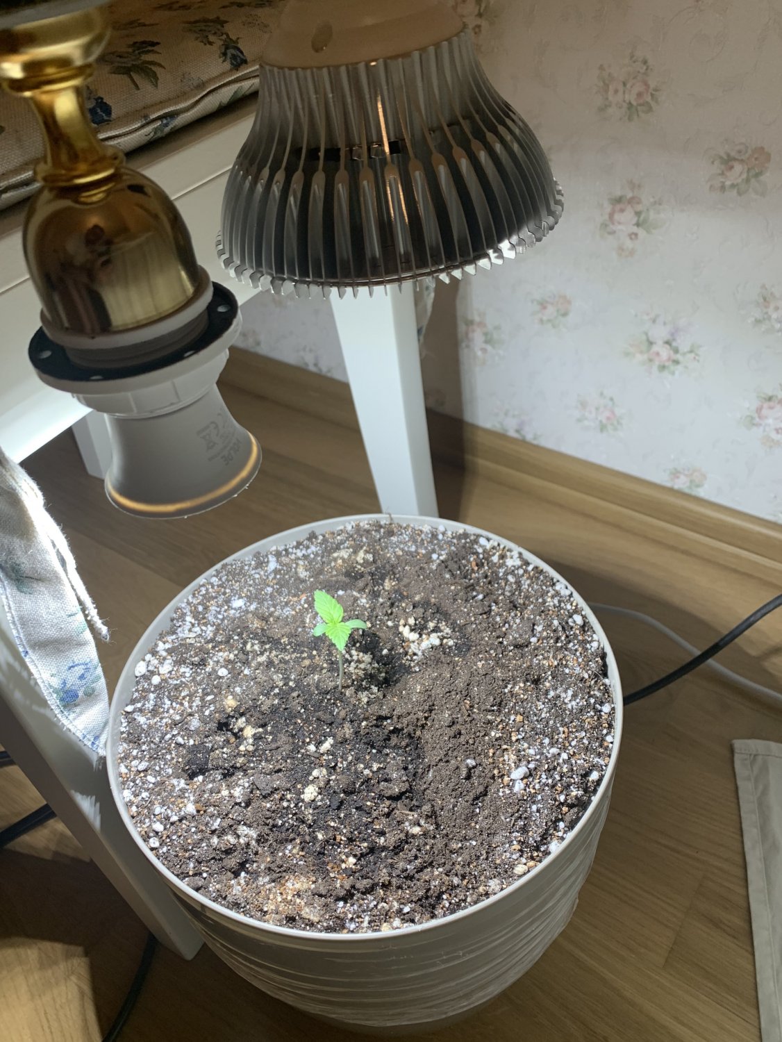 3E33E571-4CCF-4D47-93EF-DF6B62739FD8.jpeg 3E33E571-4CCF-4D47-93EF-DF6B62739FD8.jpeg