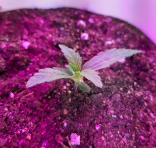 20220311_091620.jpg 20220311_091620.jpg