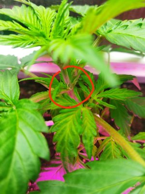 IMG_20220315_101652 (1).jpg