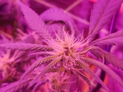 WhatsApp Image 2024-06-02 at 16.05.25 (2).jpeg