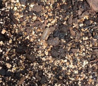 IMG_5628 — копия.jpg