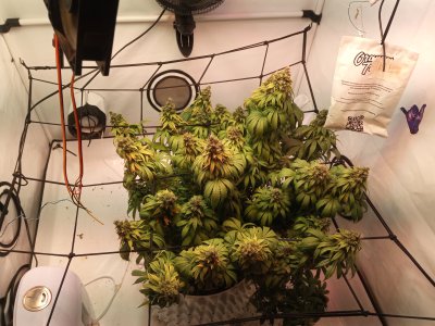 2024-06-20 165628.jpg