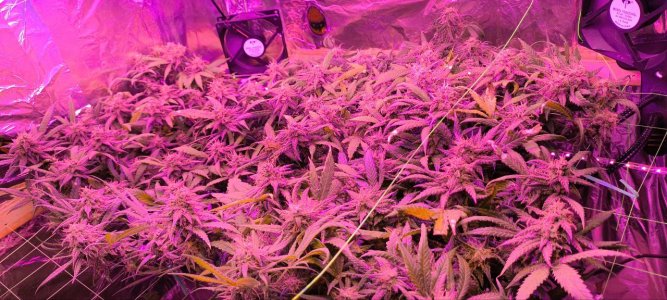 photo1719860371 (1).jpeg