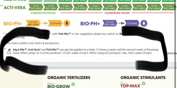 IMG_2976.jpeg IMG_2976.jpeg