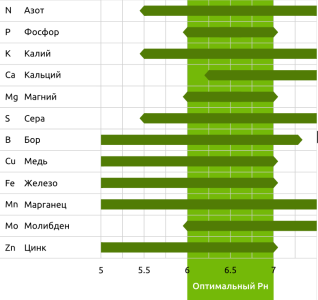 ортимальный рн.png