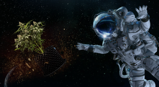 1722347492656.png 1722347492656.png