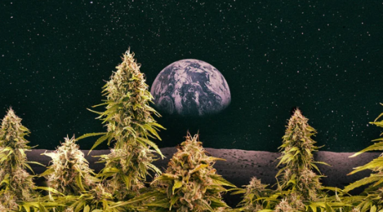 1722347557417.png 1722347557417.png