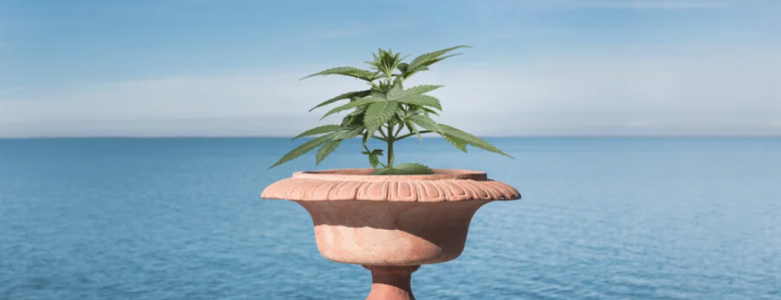 1722600476524.png 1722600476524.png