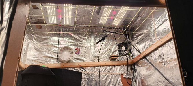 WhatsApp Image 2024-08-06 at 14.30.15.jpeg