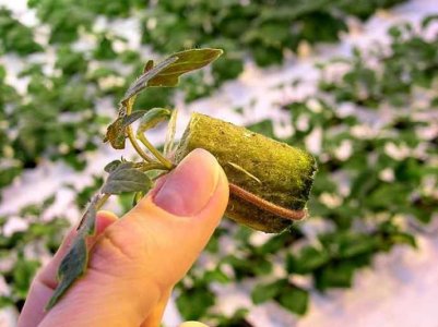 878f4c0c96cde94385ffd820f7805115.jpg 878f4c0c96cde94385ffd820f7805115.jpg