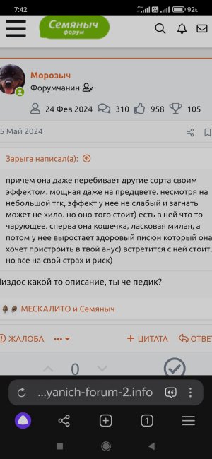 Screenshot_2024-08-11-07-43-00-113_com.yandex.browser.jpg