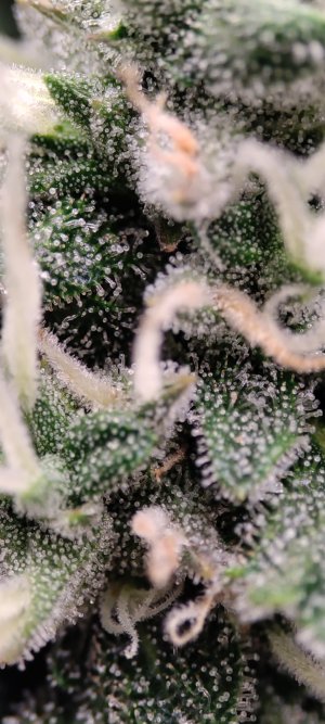 1000006960.jpg 1000006960.jpg