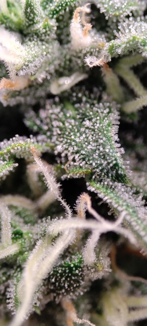 1000006961.jpg 1000006961.jpg